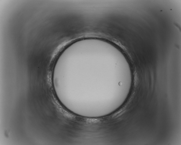 X0000100381454200806060815