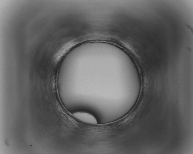 X0000100381455200806060815