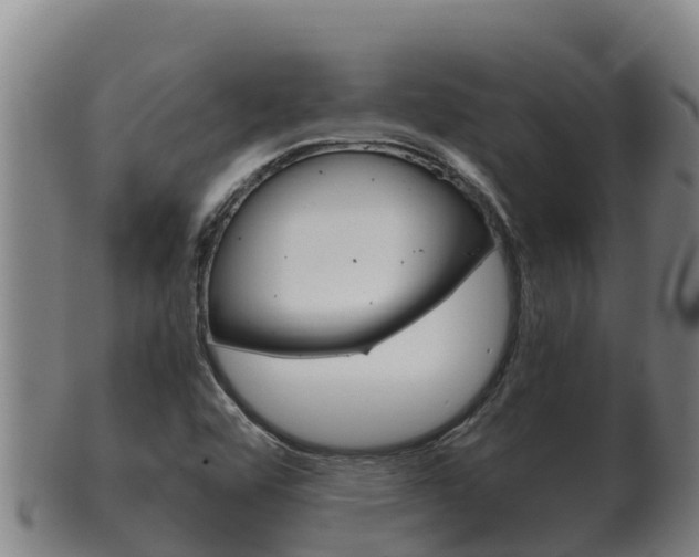 X0000100381456200806060815