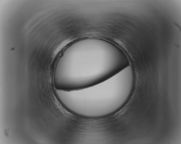X0000100381458200806060815