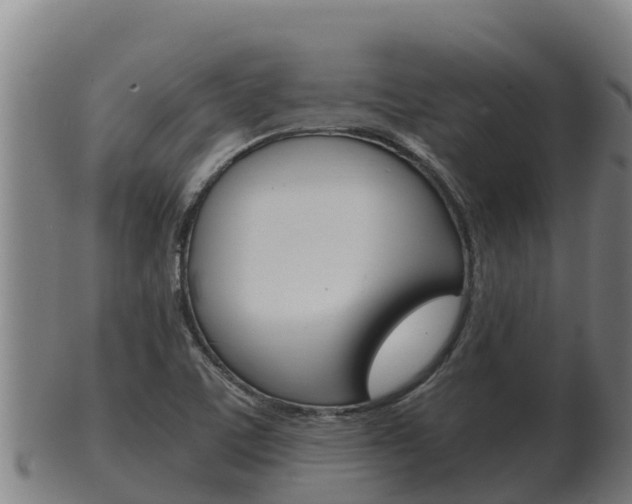X0000100381459200806060815