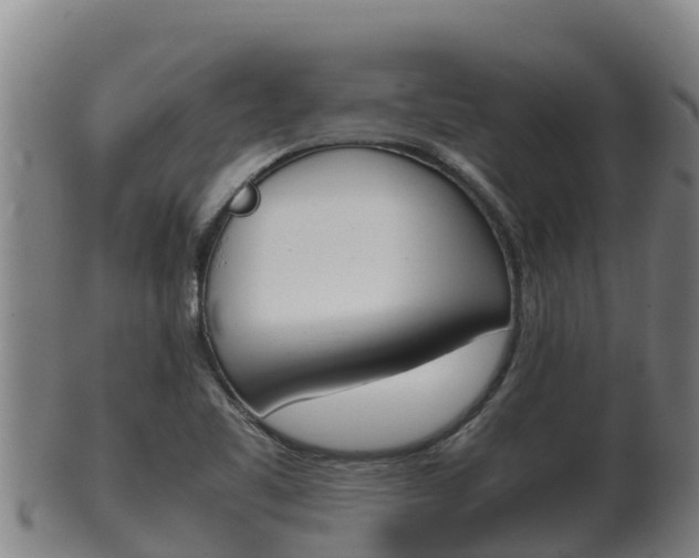 X0000100381461200806060815