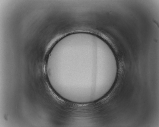 X0000100381462200806060815