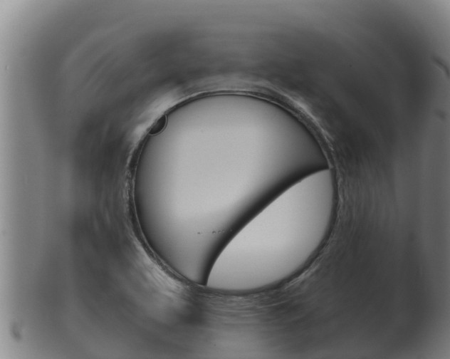 X0000100381463200806060815