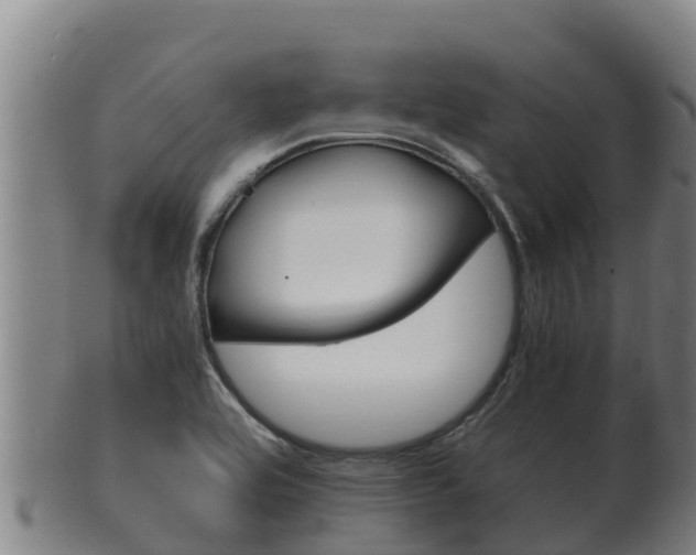 X0000100381464200806060815