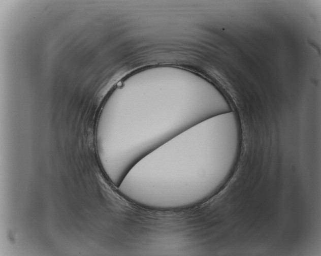 X0000100381465200806060815