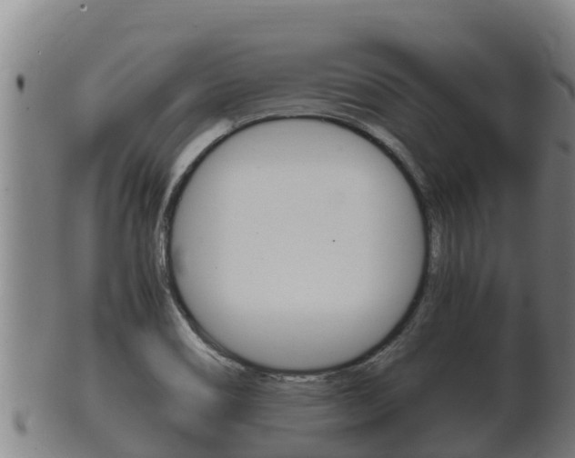 X0000100381466200806060815