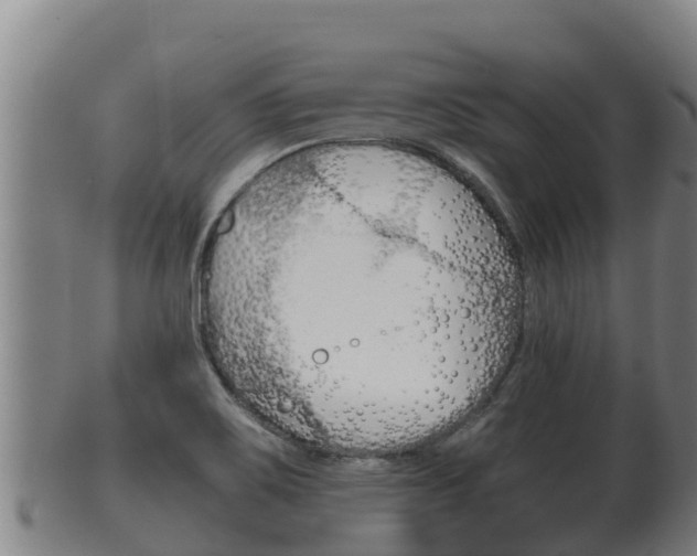 X0000100381467200806060815