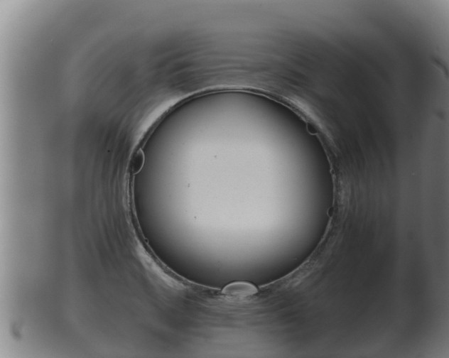 X0000100381468200806060815