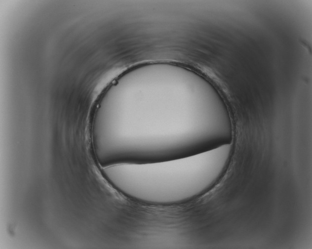 X0000100381469200806060815