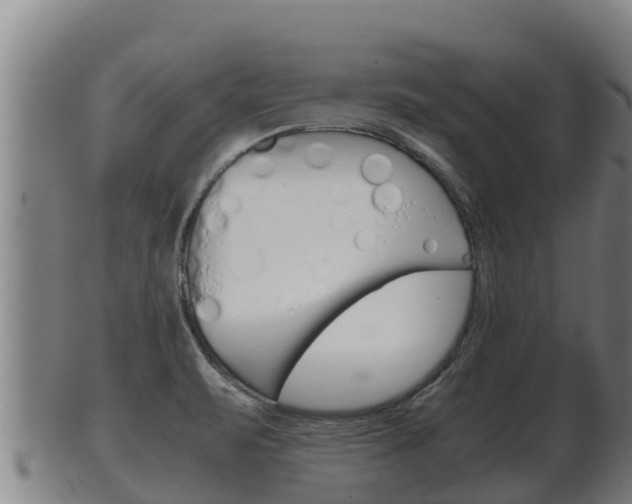 X0000100381471200806060815
