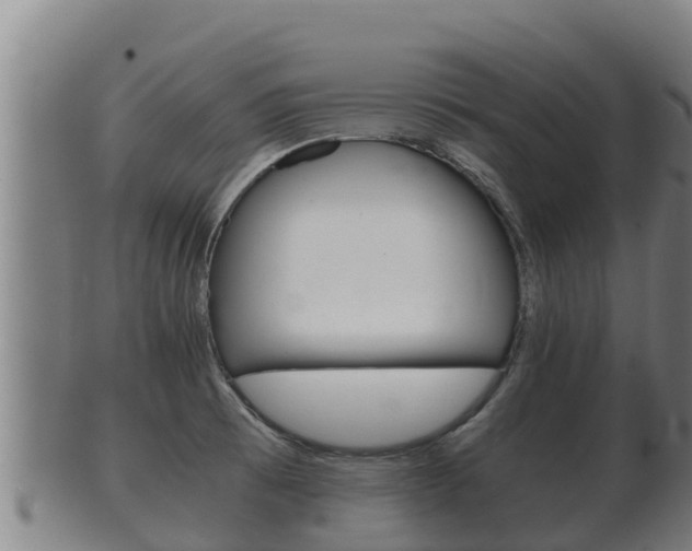 X0000100381473200806060815
