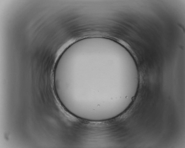 X0000100381474200806060815