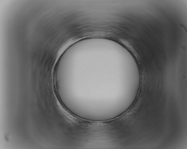 X0000100381475200806060815