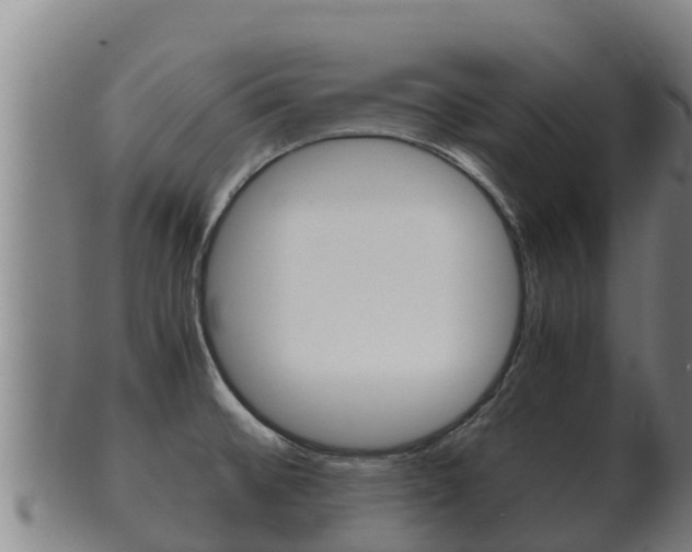 X0000100381476200806060815