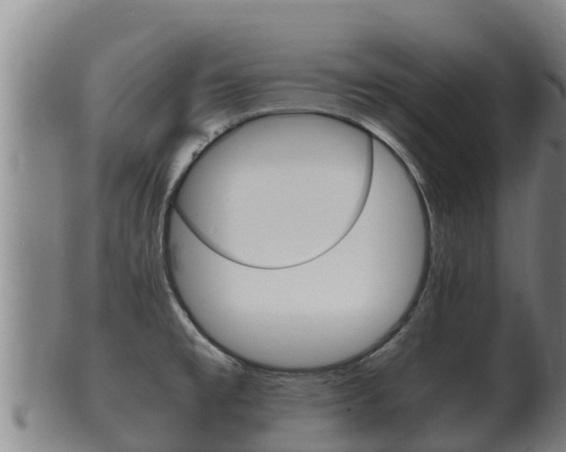 X0000100381477200806060815