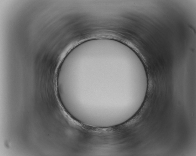 X0000100381478200806060815