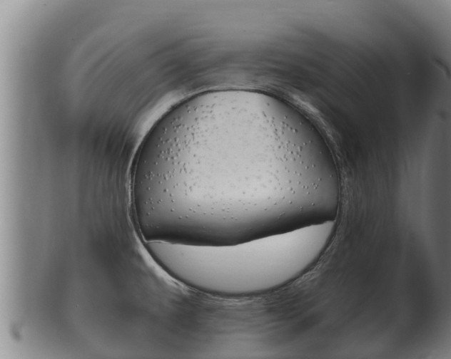X0000100381479200806060814