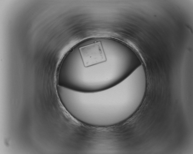 X0000100381480200806060814