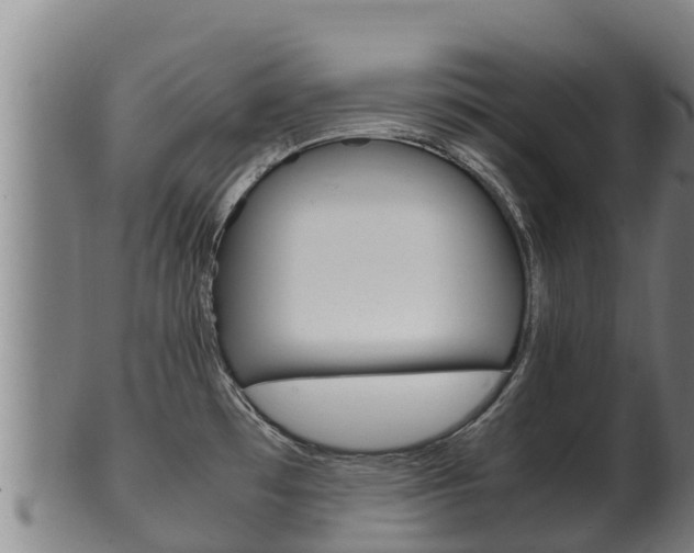 X0000100381481200806060814