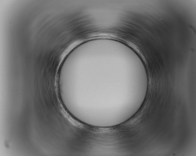 X0000100381482200806060814