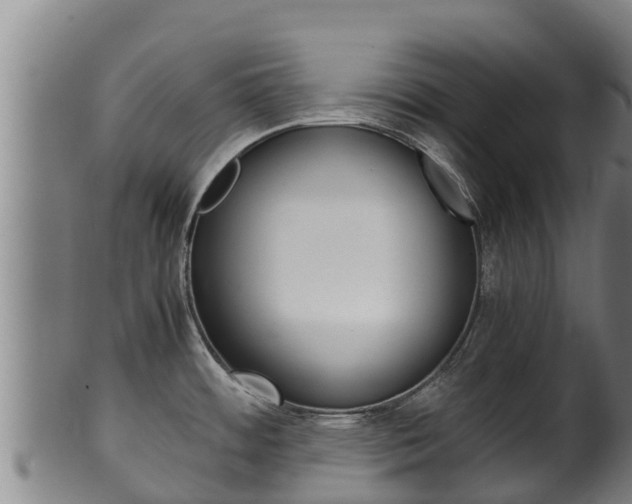 X0000100381484200806060814
