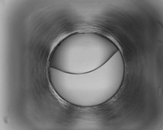 X0000100381485200806060814