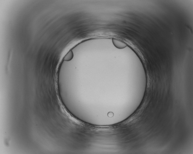 X0000100381486200806060814
