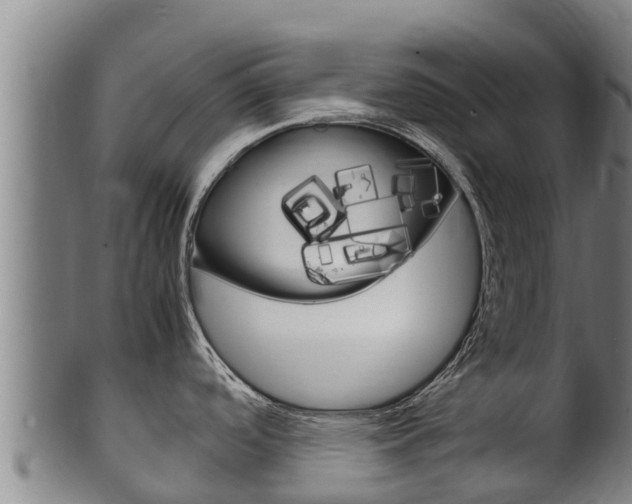 X0000100381488200806060814