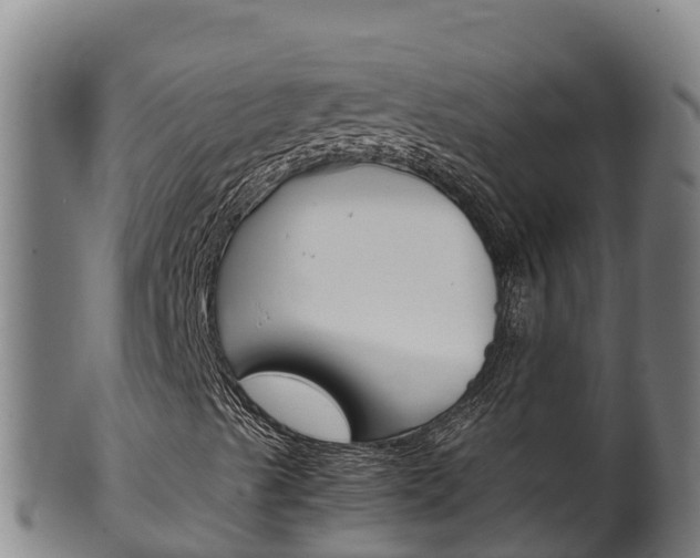 X0000100381489200806060814