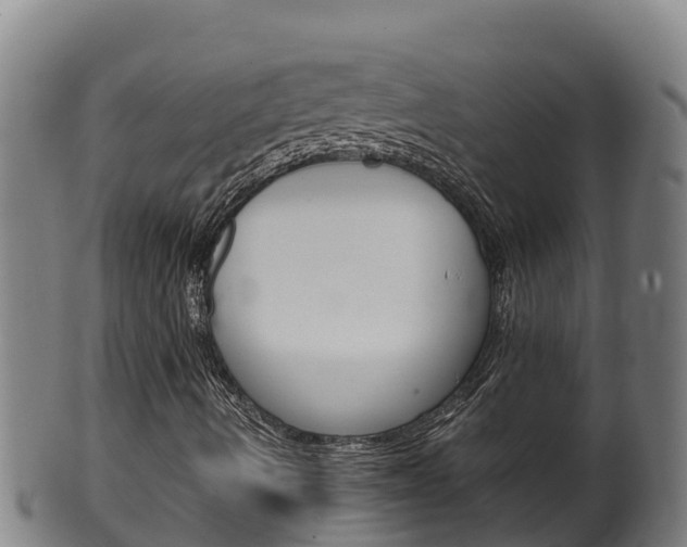 X0000100381490200806060814