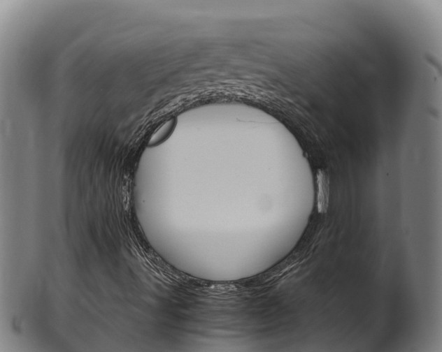 X0000100381491200806060814
