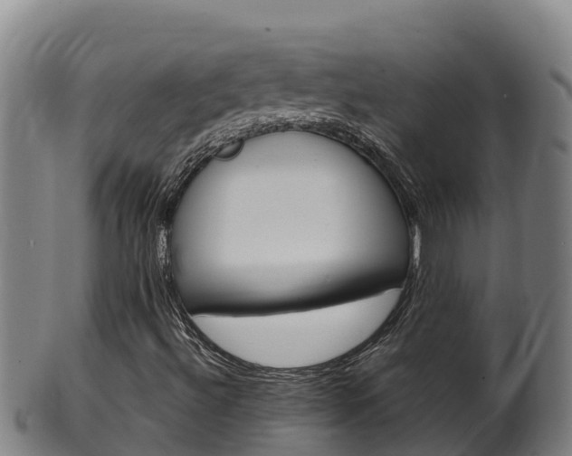 X0000100381492200806060814