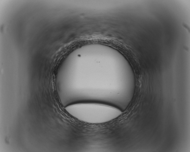 X0000100381493200806060814
