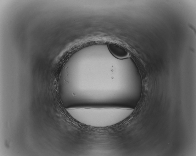 X0000100381495200806060814