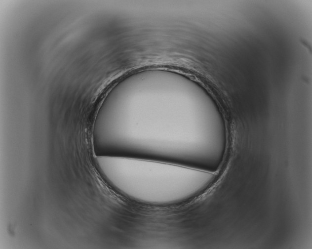 X0000100381497200806060814