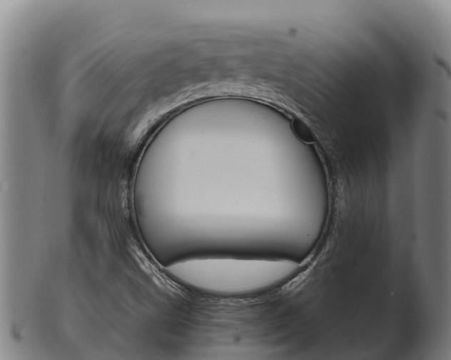 X0000100381499200806060814