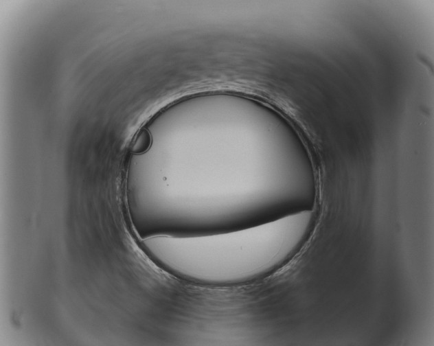 X0000100381500200806060814