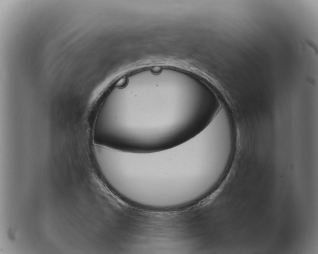 X0000100381502200806060814