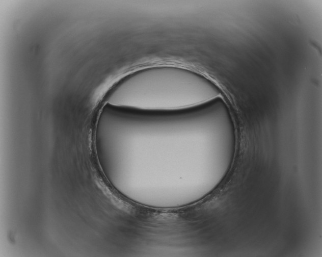 X0000100381503200806060814