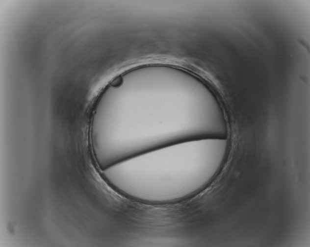 X0000100381504200806060814