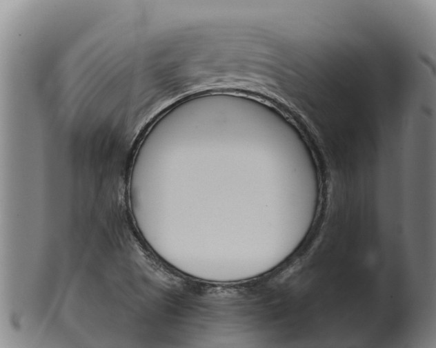 X0000100381505200806060814