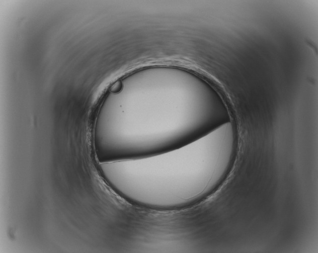 X0000100381506200806060814