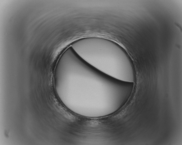 X0000100381507200806060814