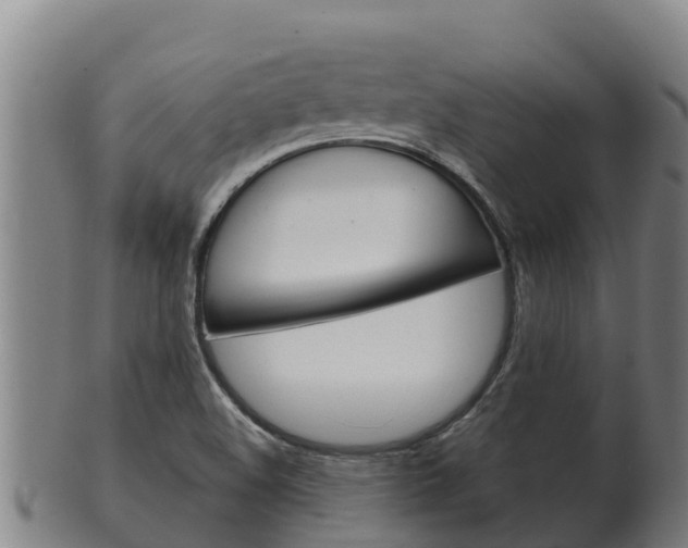X0000100381508200806060814
