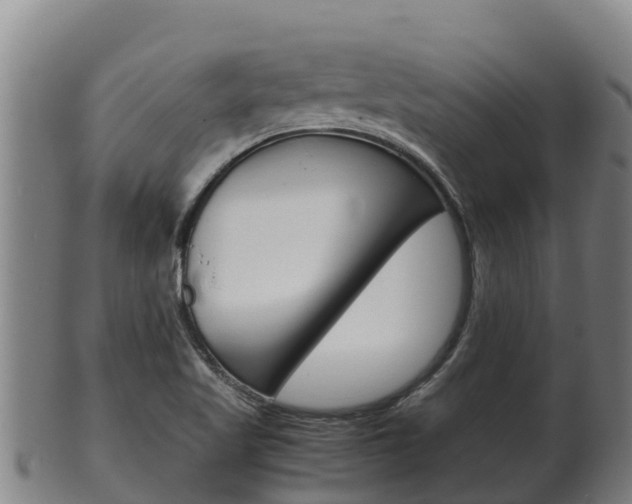 X0000100381509200806060814