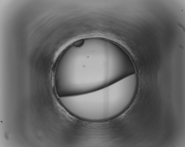 X0000100381510200806060814