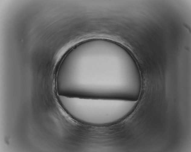 X0000100381511200806060814