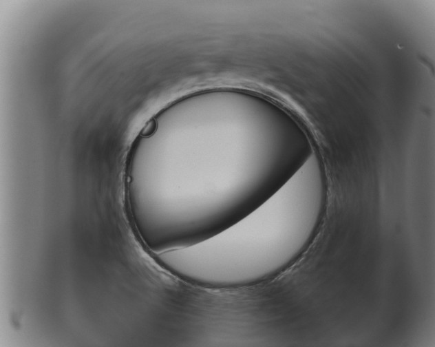 X0000100381512200806060814