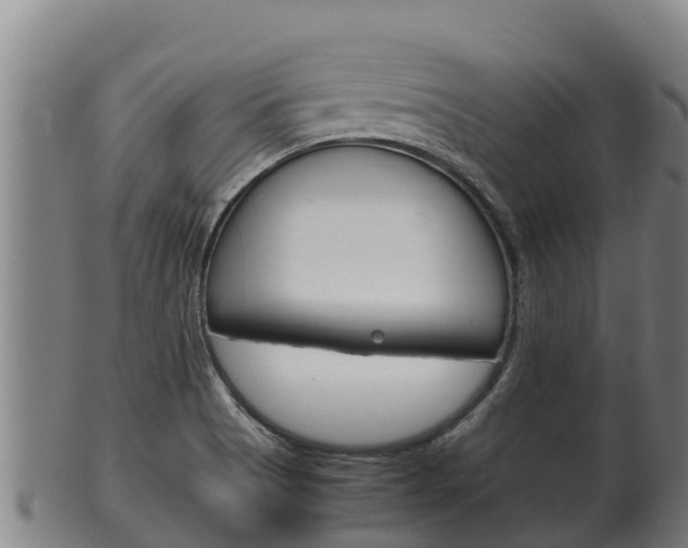 X0000100381513200806060814